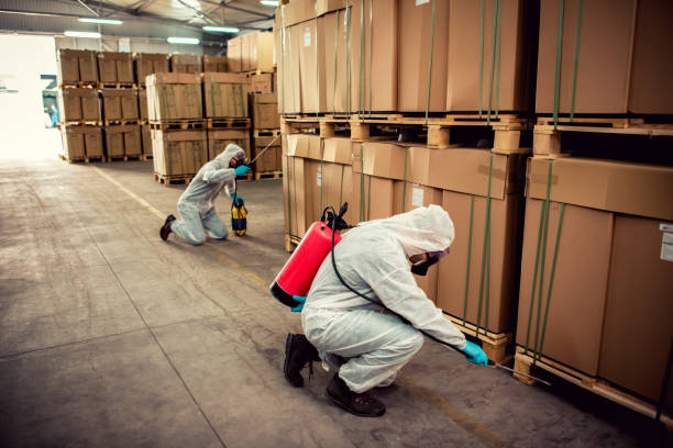 Best Exterminator Services  in Harrogate, TN
