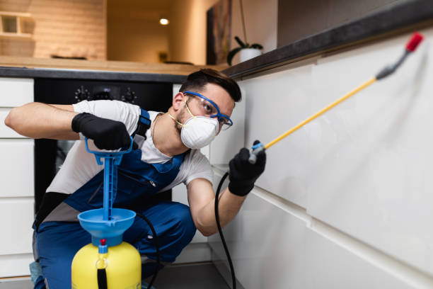 Best Cockroach Control Services  in Harrogate, TN
