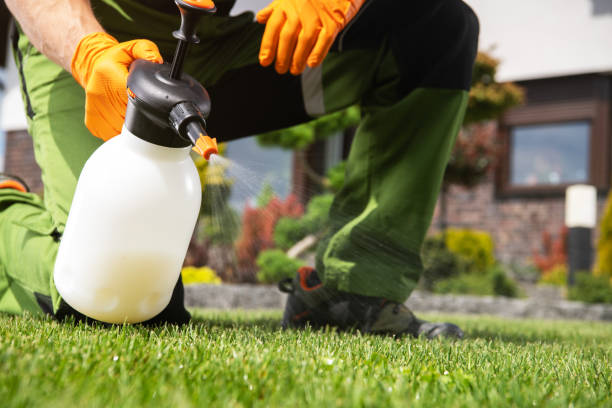 Best Bird Control  in Harrogate, TN