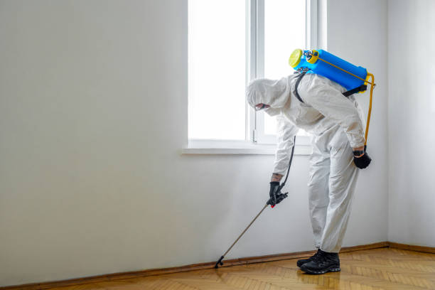Best Ant Control Services  in Harrogate, TN