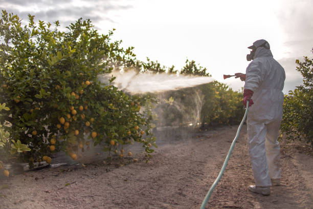 Best Wildlife Control Services  in Harrogate, TN