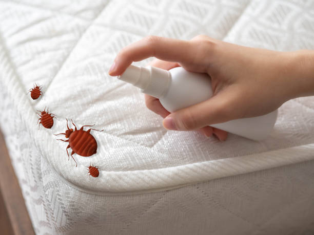 Harrogate, TN Pest Control Company