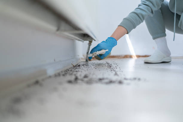 Best Pest Removal Services  in Harrogate, TN